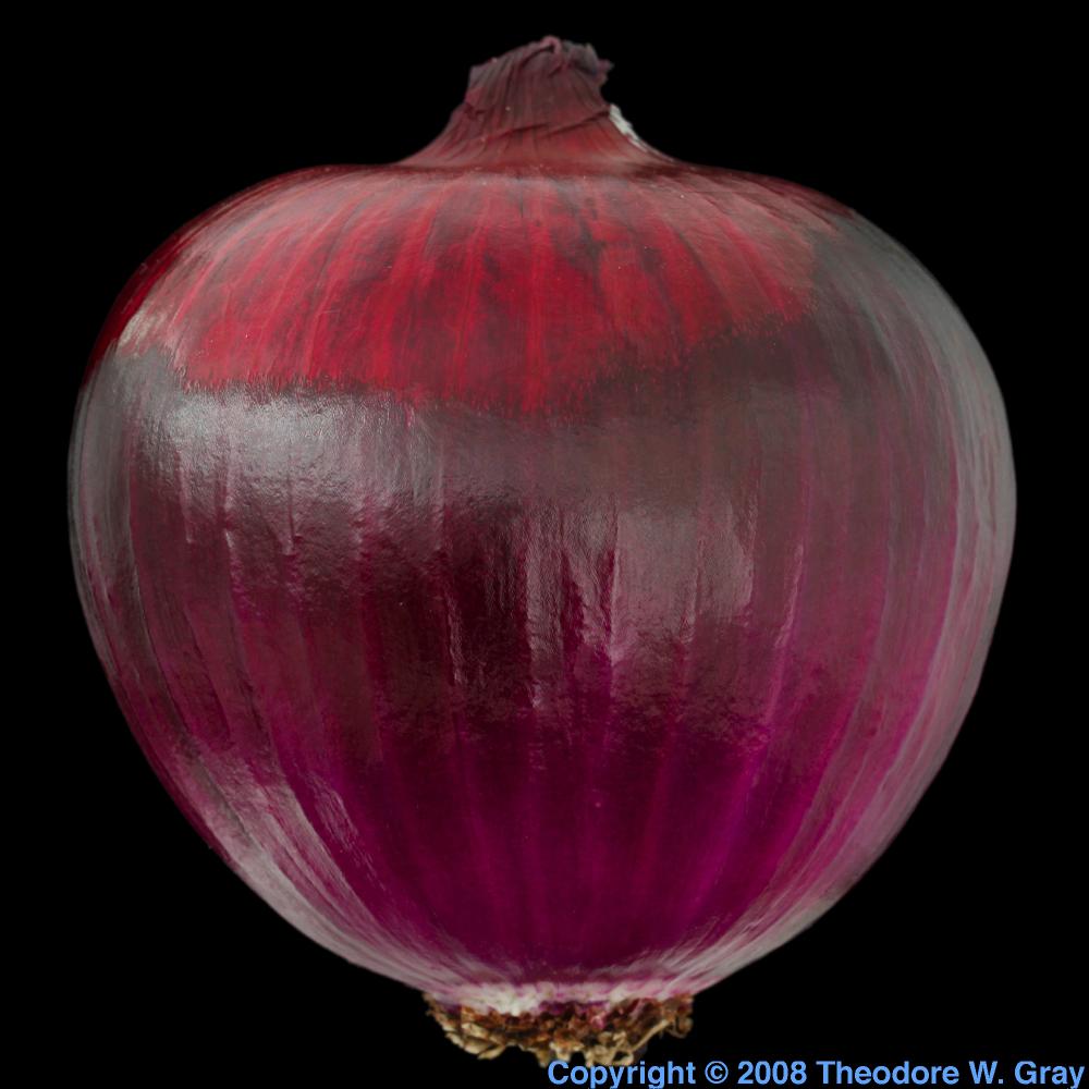 Onions, a sample of the element Sulfur in the Periodic Table