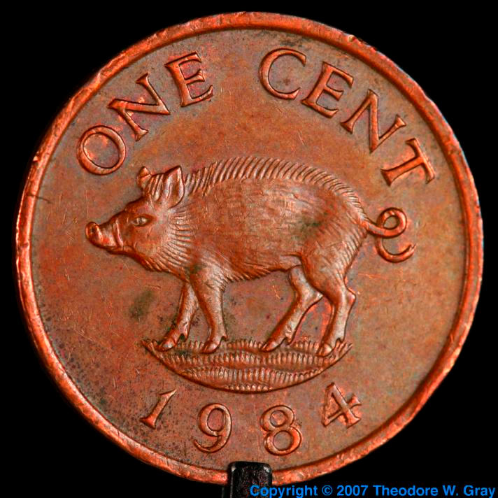 Copper Bermuda pig coin, a sample of the element Copper in the Periodic