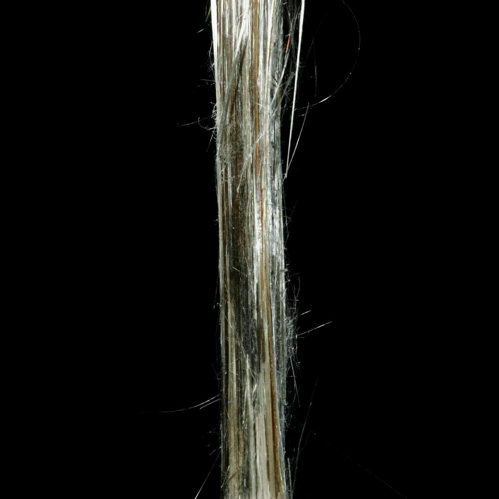 asbestos legal professionals wv